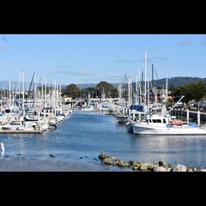 Meet your Posher, Tina